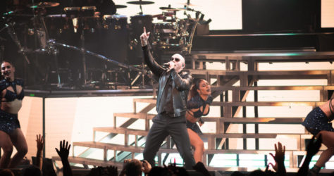 Pitbull-8