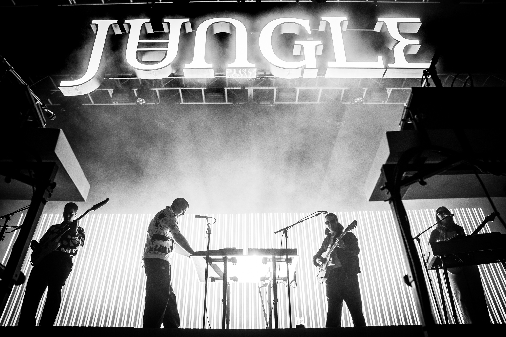 jungle-33