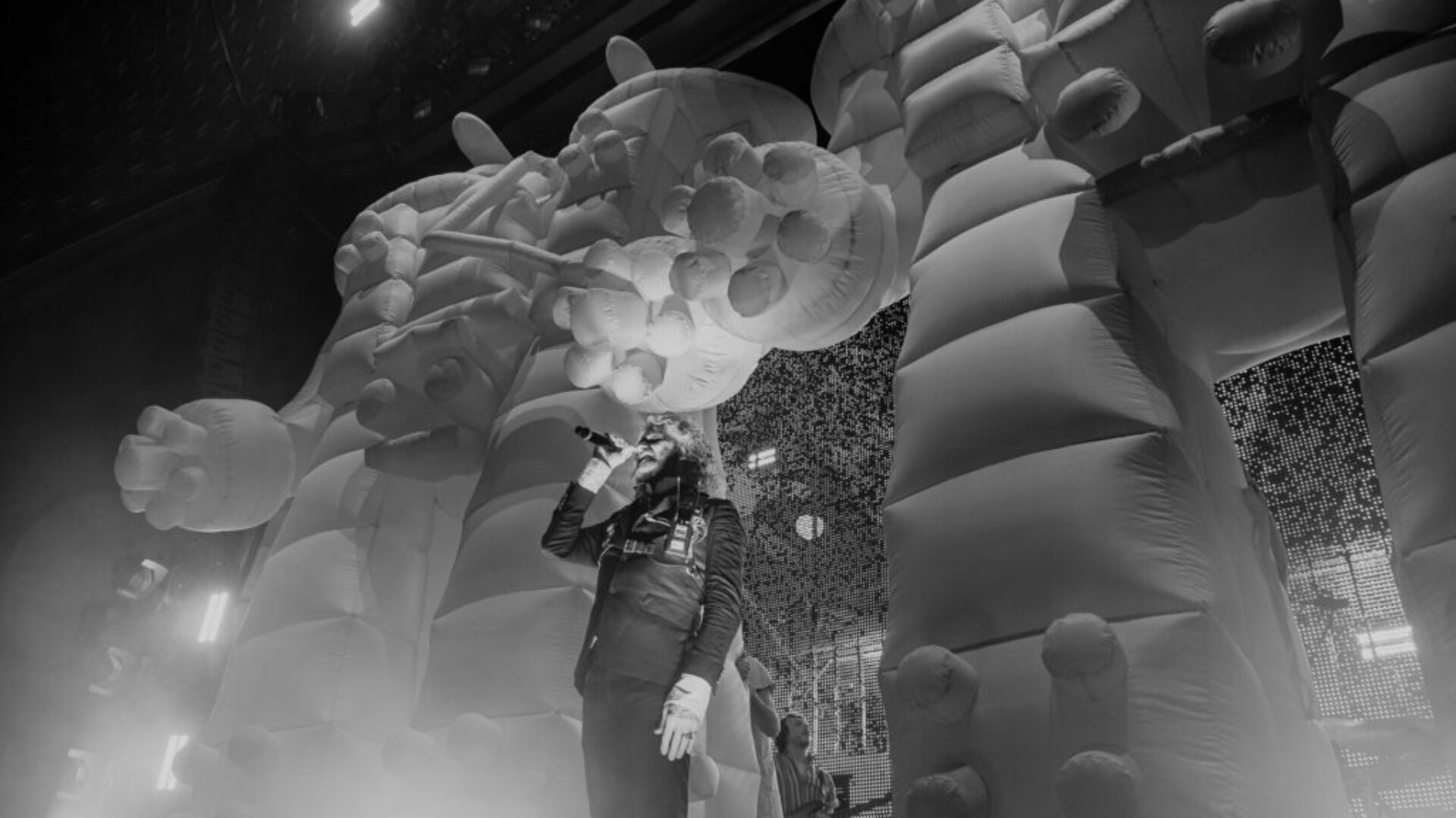 The Flaming Lips MYN-22